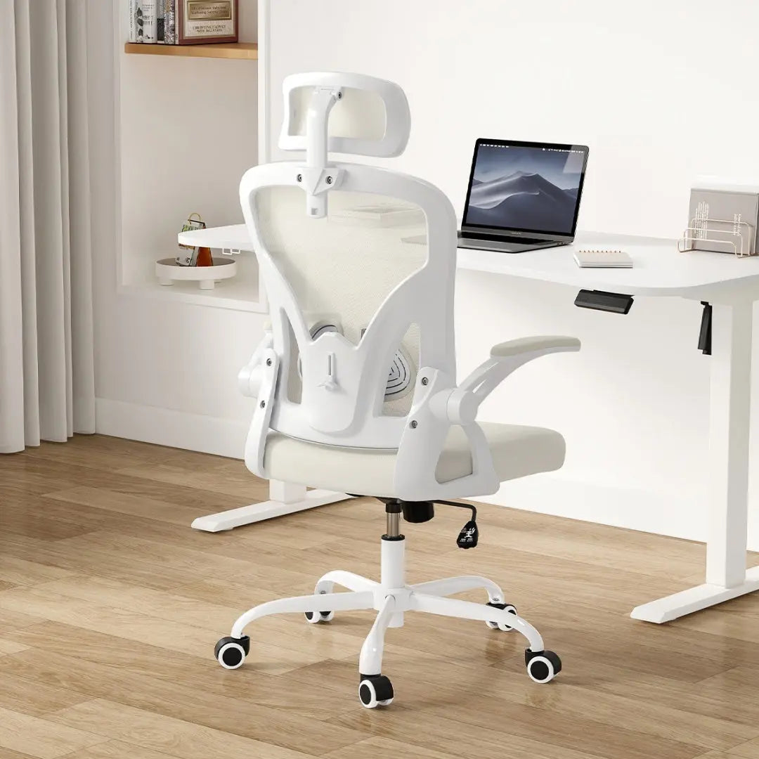 Computer Chair With Armrests And Adjustable Lumbar Support The Chair Company