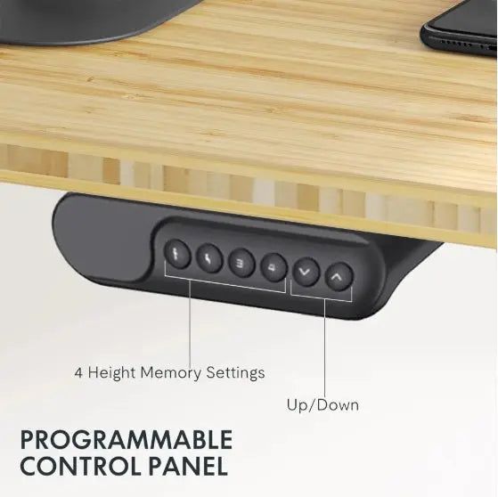 Electric Standing Desk Dual Motor Adjustable Height Desk Home Office Computer Workstation Sit Stand Up Desk, 55 X 28 Inches The Chair Company